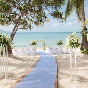 wmremove-transformed